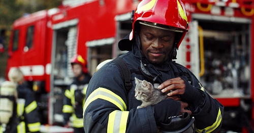 pompier sauve un chat